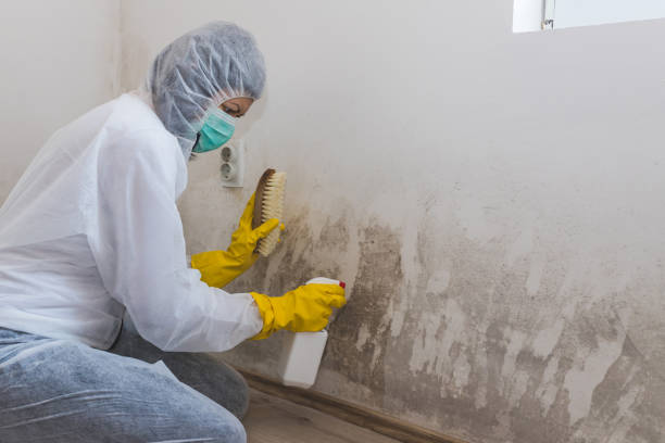 Mold Remediation for Rental Properties in Helena Valley Northeast, MT