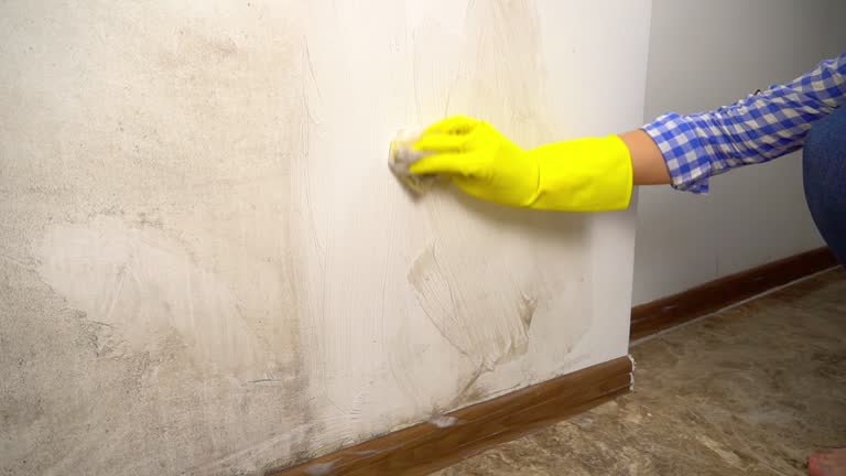 Best Mold Removal for HVAC Installations  in Helena Valley Northeast, MT