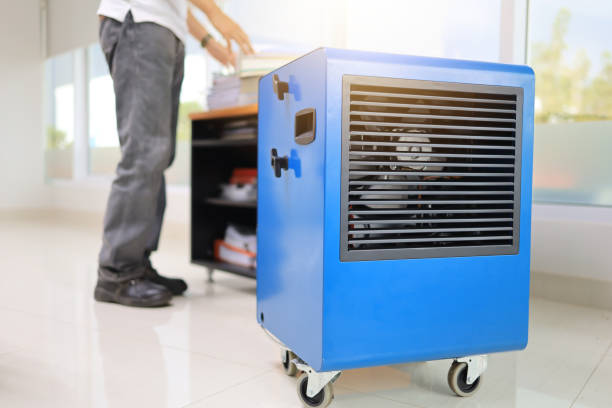 Best Residential Mold Inspection & Testing  in Helena Valley Northeast, MT